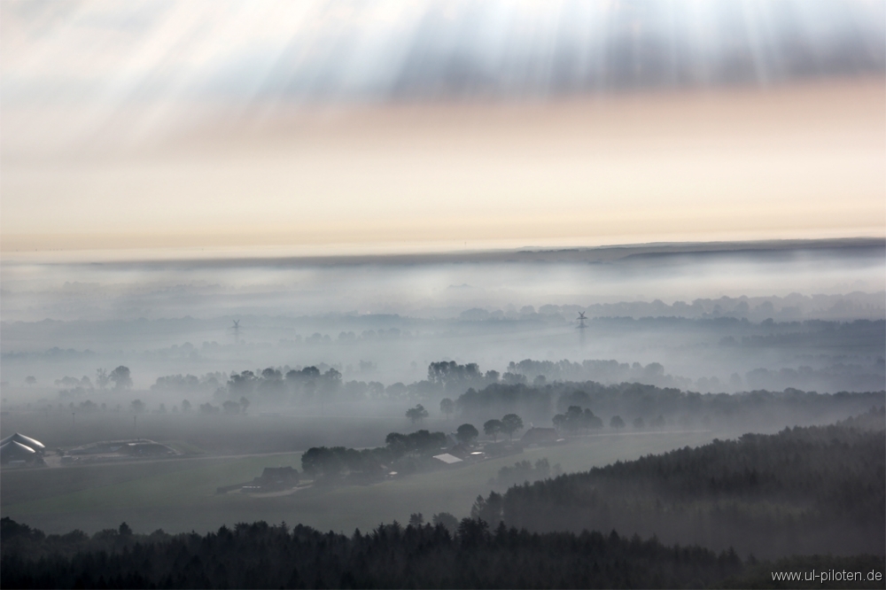 Bodennebel (3)