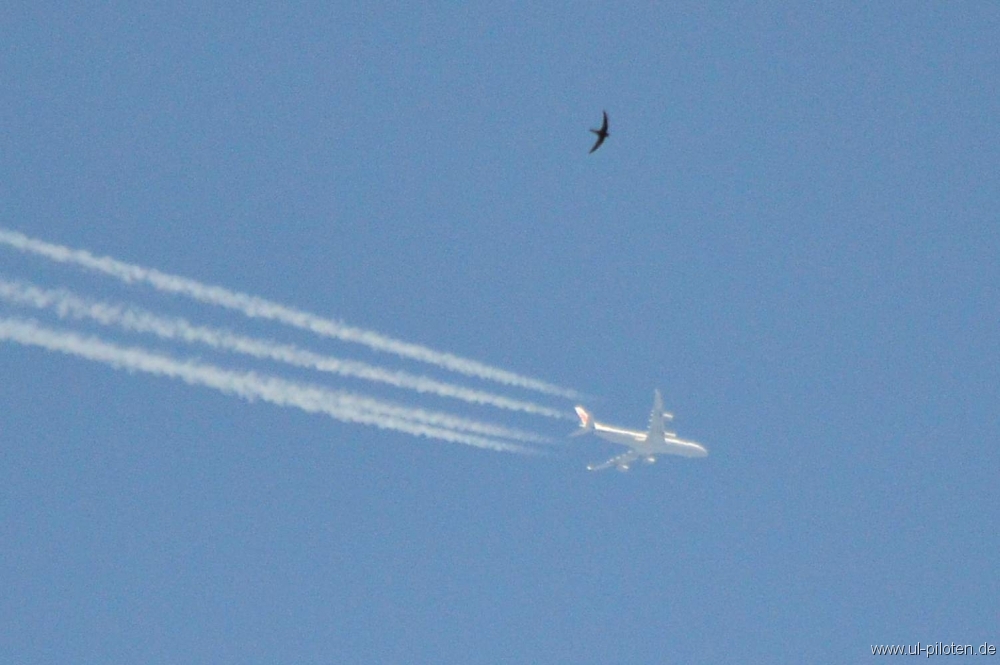 Ultraleicht und Ultraschwer