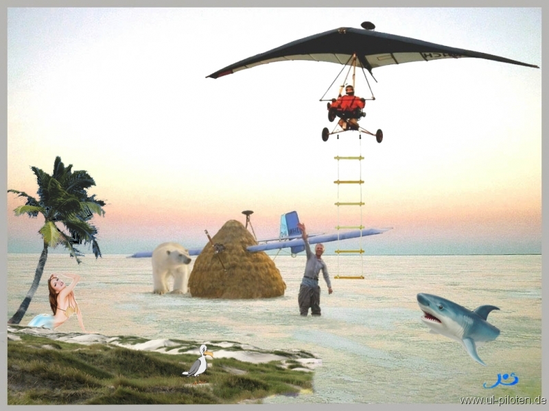 Tiefflieger gerettet