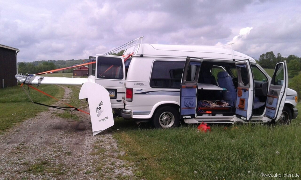 Toom's Zigolo The flying Rose