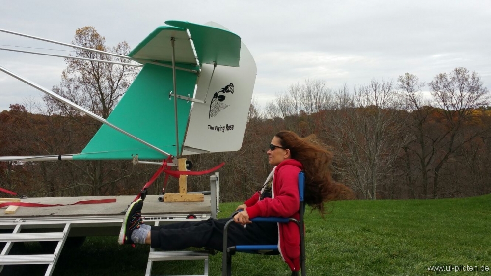 Toom's Zigolo The flying Rose