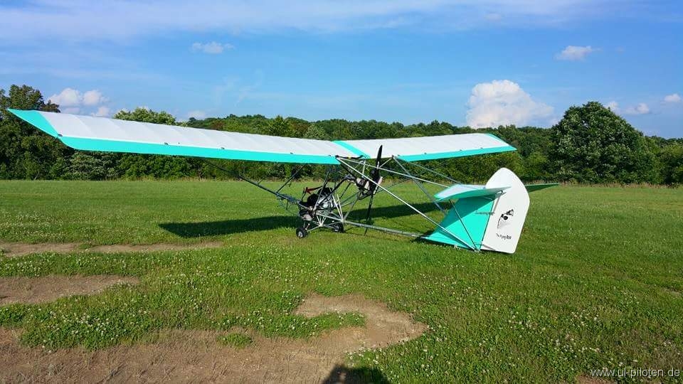 Toom's Zigolo The flying Rose