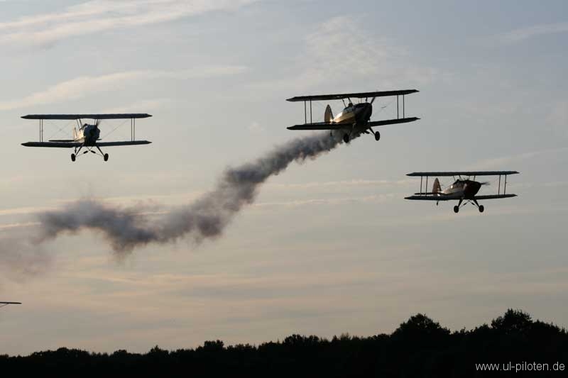 Kiebitze in der Luft