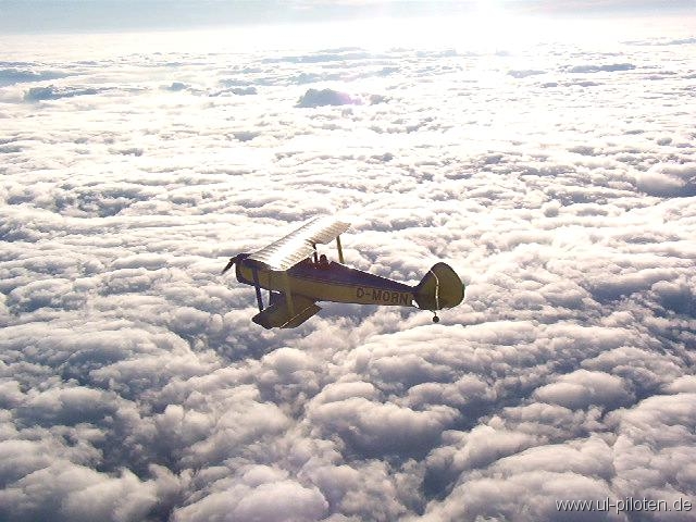 Kiebitz �ber den Wolken