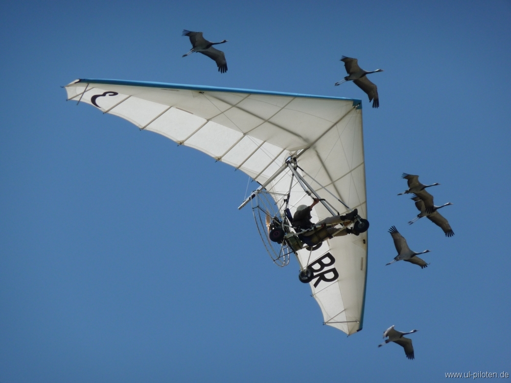 Franzose Christian Moullec