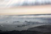Bodennebel (3)